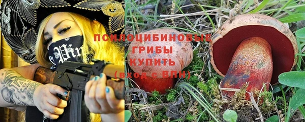 сатива Алексеевка