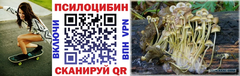 купить закладку блэк спрут ссылка Псилоцибиновые грибы Magic Shrooms Ахтубинск