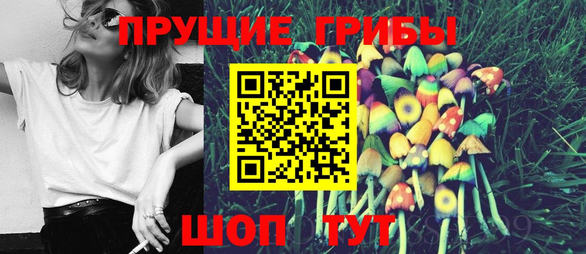 Псилоцибиновые грибы прущие грибы  Вход с VPN  Ахтубинск 