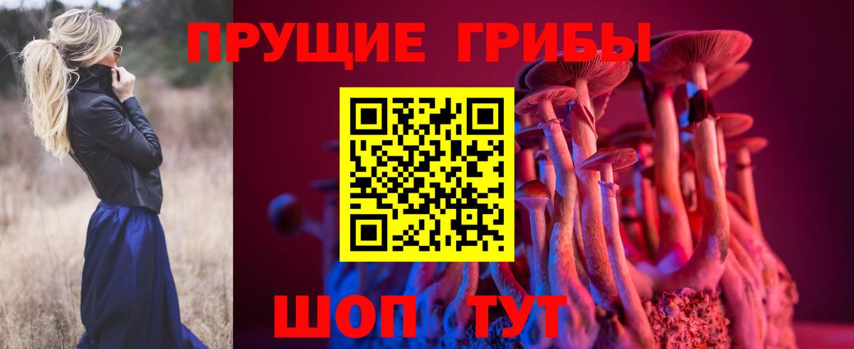 Псилоцибиновые грибы мицелий Ахтубинск